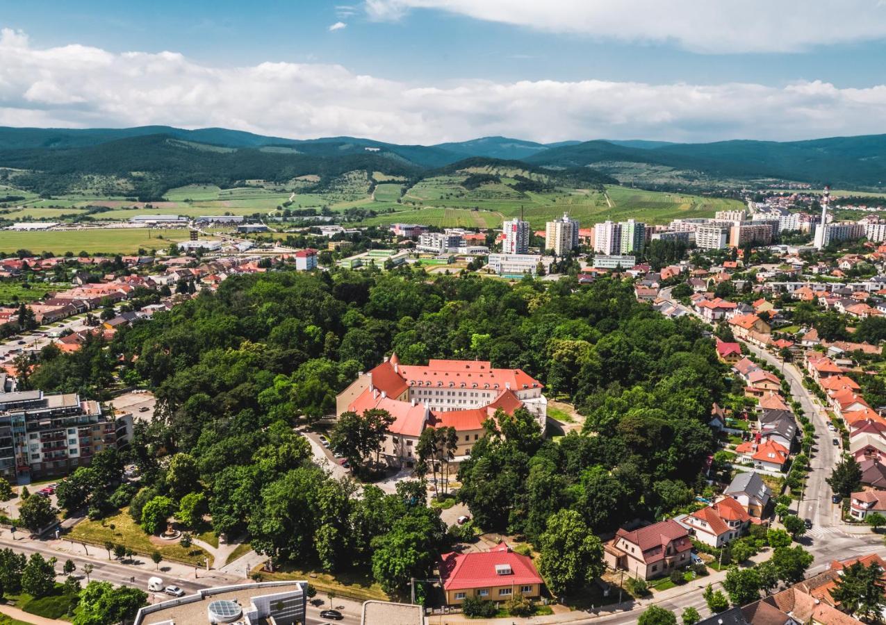 Palace Art Hotel Pezinok Exterior foto
